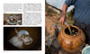 Heritage Drinks of Myanmar